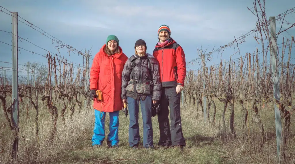 Wir im Weingarten, Birgit, Eleonore und Markus beim Rebschnitt