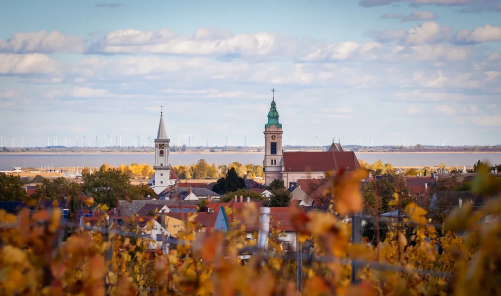 Blick über die Weingärten auf die zwei prägenden Kirchtürme der Ruster Altstadt und den Neusiedlersee